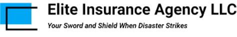 Agency Logo