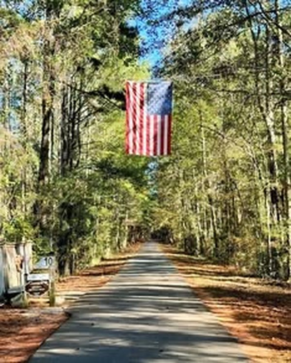 index usa flag